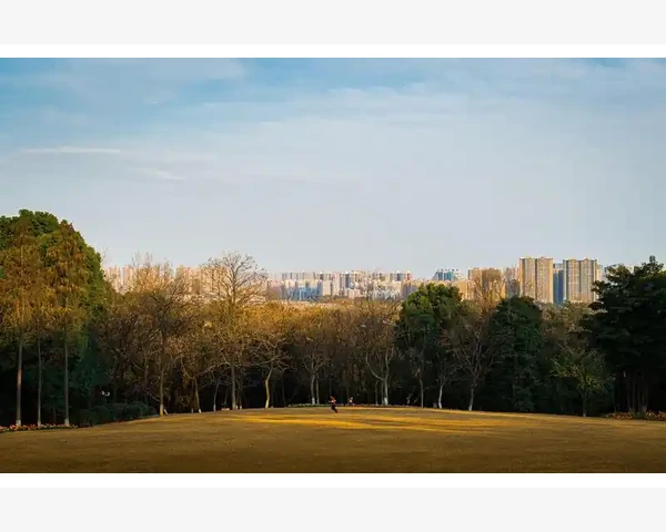 失眠了吃什么药快速入睡？